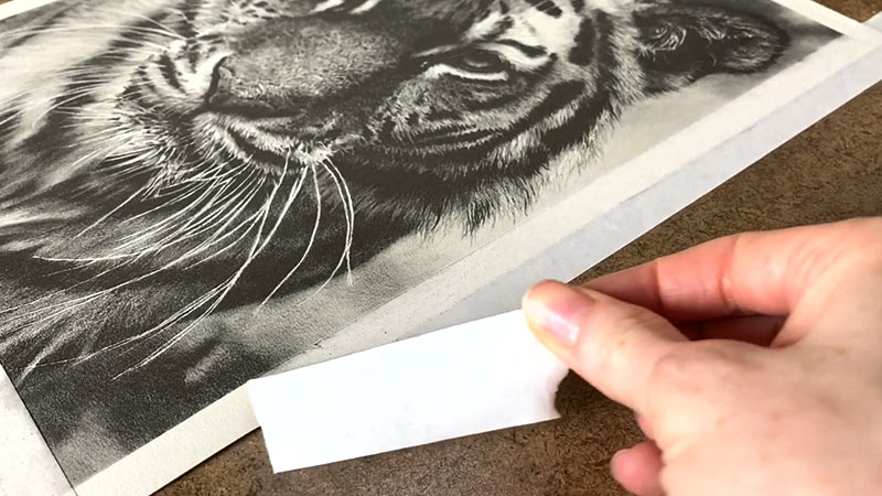 how-to-peel-tape-off-without-ripping-paper-wayne-arthur-gallery