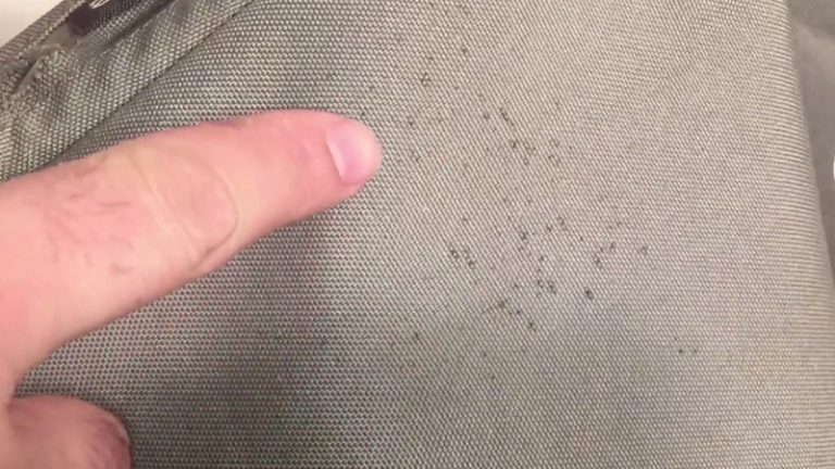 How To Remove Mold From Fabric