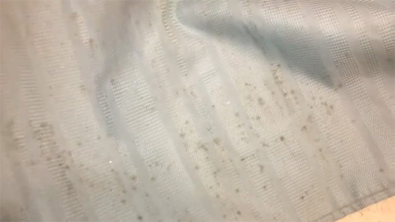 fabric-first-aid-how-to-remove-mold-from-fabric-wayne-arthur-gallery